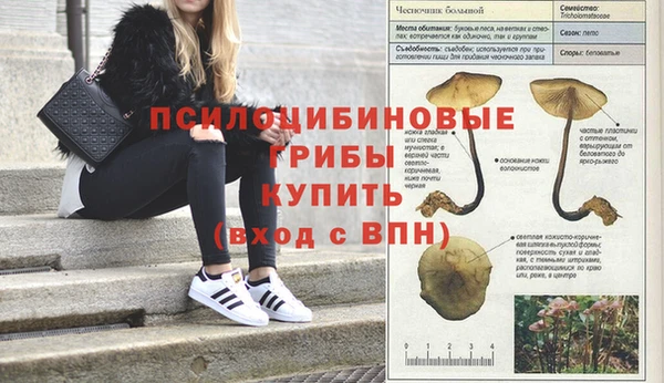 ECSTASY Заволжье
