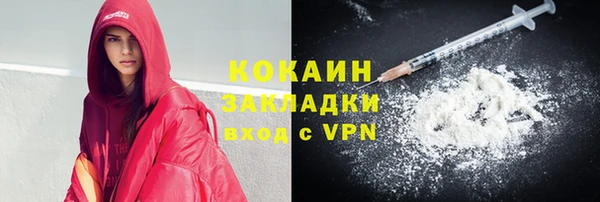 стаф Елизово