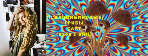 стаф Елизово