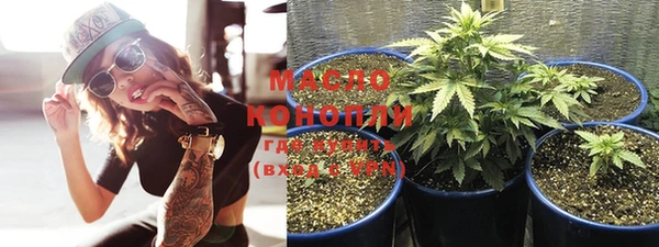 стаф Елизово