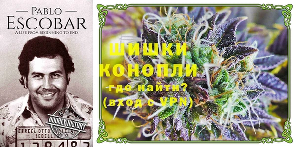 амфетамин Ельня