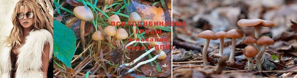 кокс Зерноград