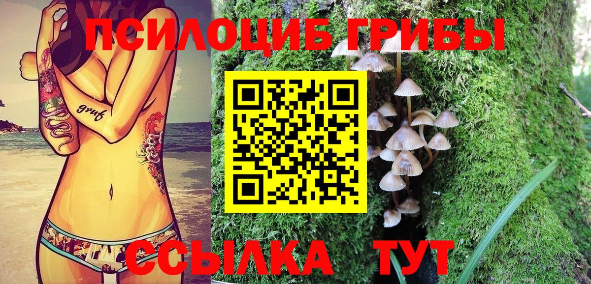 Псилоцибиновые грибы GOLDEN TEACHER Кондопога